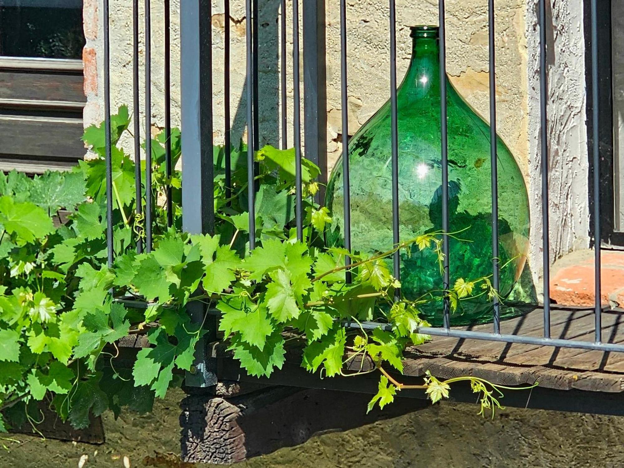 Cascina Il Sogno Bed & Breakfast Cossano Belbo Exterior foto